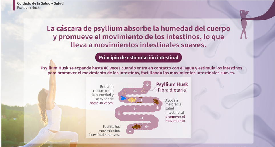 FIBRA DIETARIA PSYLLIUM HUSK ATOMY