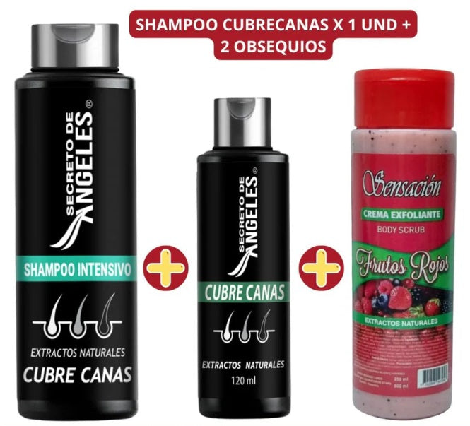 KIT SHAMPOO Y TRATAMIENTO CERO CANAS SECRETO DE ANGELES + 1 OBSEQUIO